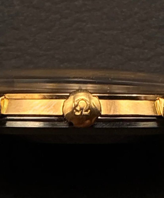 Omega Seamaster Bumper - Detalhe